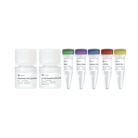 FlysisAmp Cells-to-CT 2-Step Probe Kit