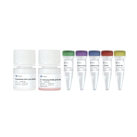 FlysisAmp Cells-to-CT 2-Step SYBR Green Kit