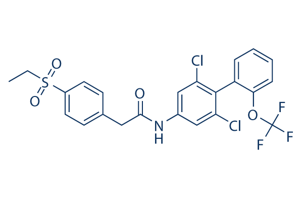 GSK805