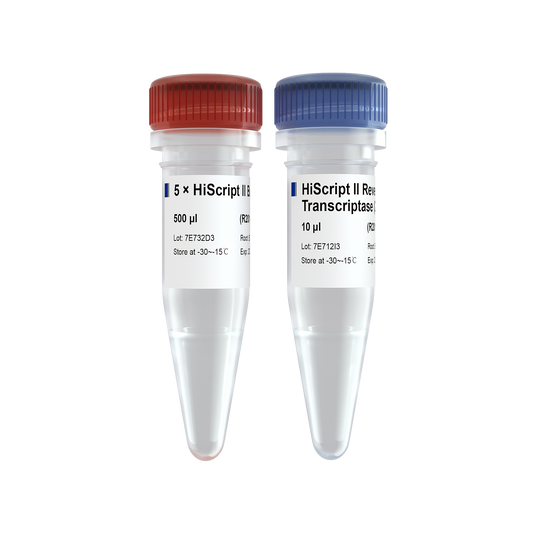 HiScript II Reverse Transcriptase