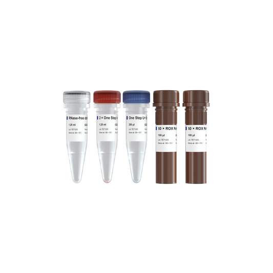 HiScript II U+ One Step qRT-PCR Probe Kit