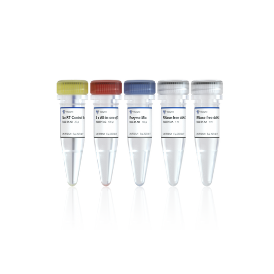 HiScript III All-in-one RT SuperMix Perfect for qPCR