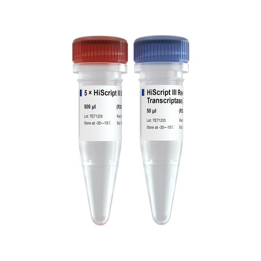 Hiscript III Reverse Transcriptase