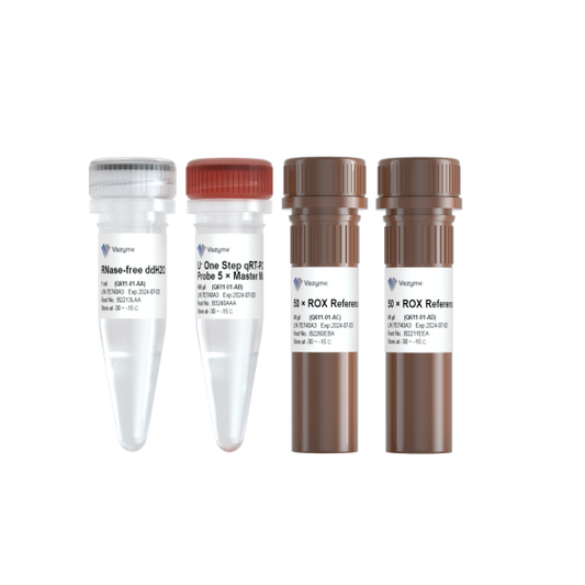 HiScript III U+ One Step qRT-PCR Probe 5 × Master Mix