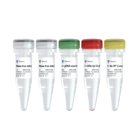 HiScript IV RT SuperMix for qPCR (+gDNA wiper)