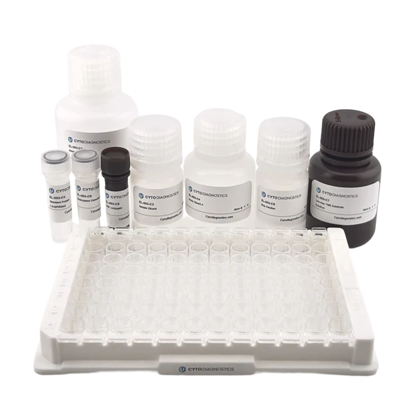 Human CRP ELISA Kit