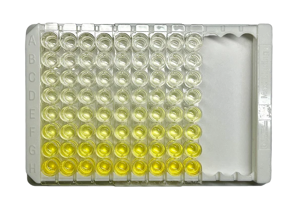 Human CXCL10 ELISA Kit