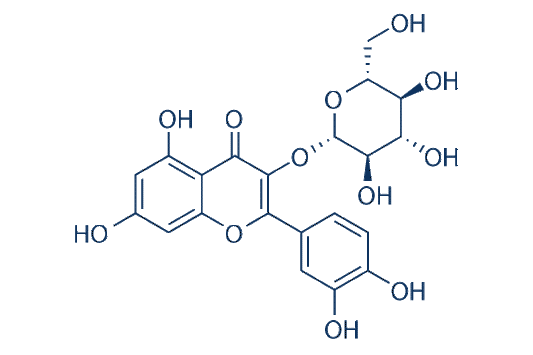 Isoquercitrin