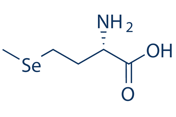 L-SelenoMethionine