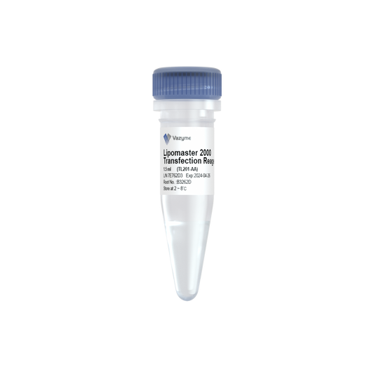 Lipomaster 2000 Transfection Reagent