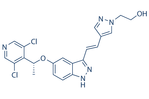 LY2874455