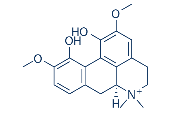 Magnoflorine