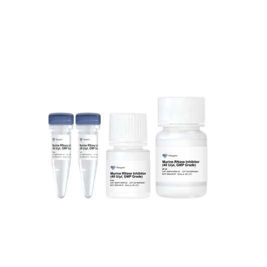 Murine RNase Inhibitor