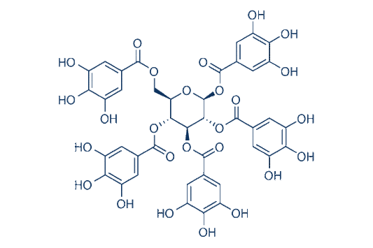 1,2,3,4,6-O-Pentagalloylglucose