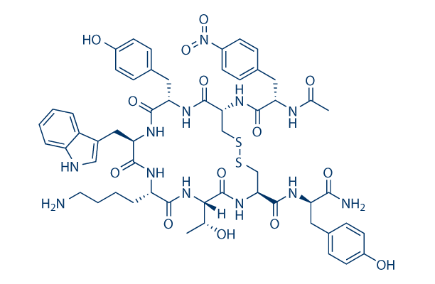 CYN154806