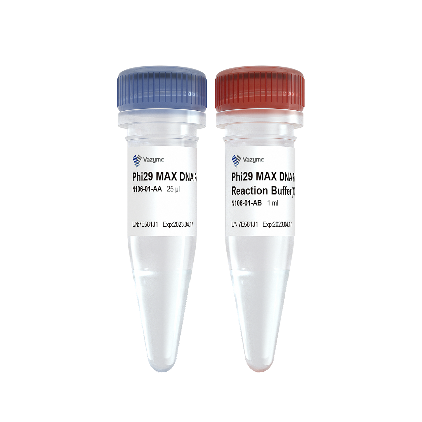 Phi29 MAX DNA Polymerase