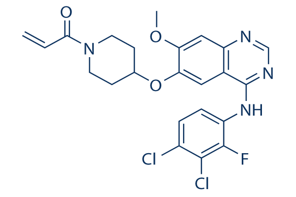Poziotinib (NOV120101, HM781-36B)