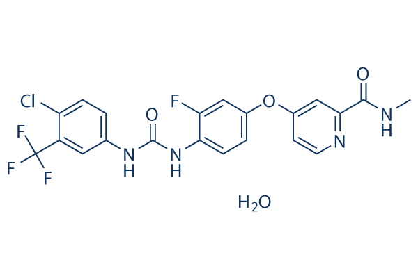 Regorafenib (BAY-734506)Monohydrate
