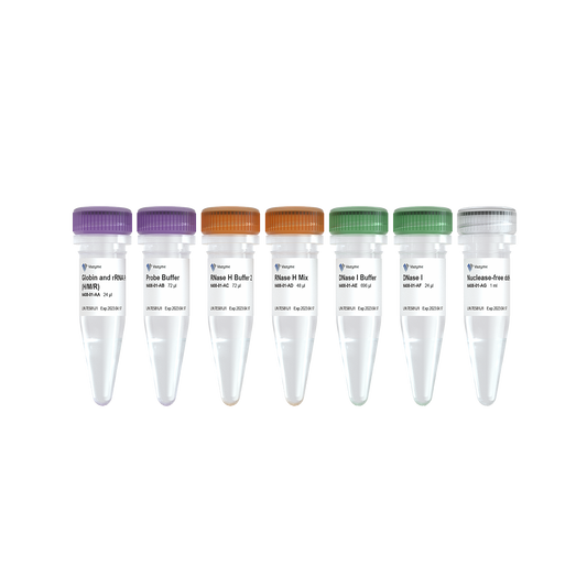 Ribo-off Globin & rRNA Depletion Kit (Human/Mouse/Rat)
