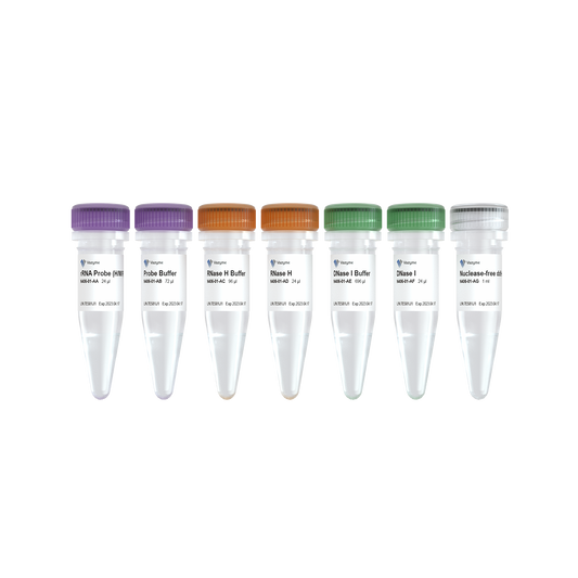 Ribo-MagOff rRNA Depletion Kit (Human/Mouse/Rat)