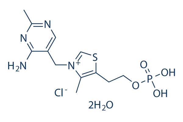Thiamine monophosphate chloride dihydrate