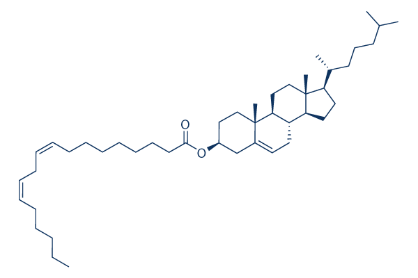 Cholesteryl linoleate