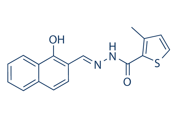 PCNA-I1