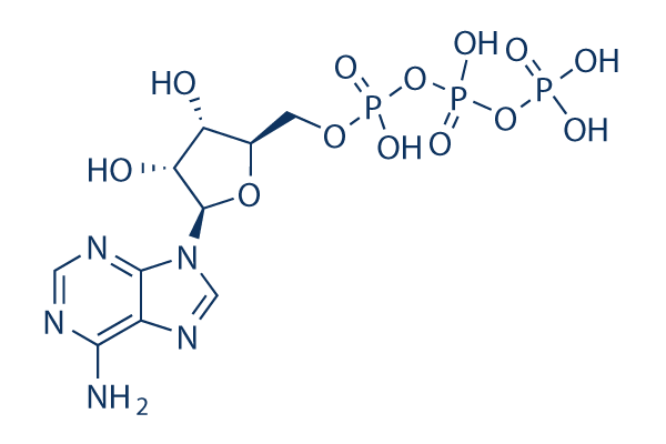 ATP (Adenosine 5'-triphosphate)