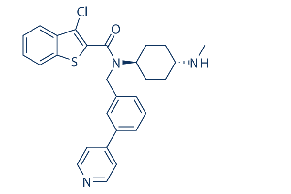 SAG (Smoothened Agonist)