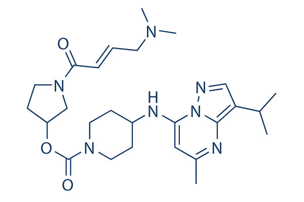 LY3405105