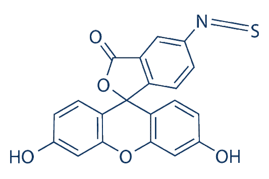 Fluorescein-5-isothiocyanate (FITC)