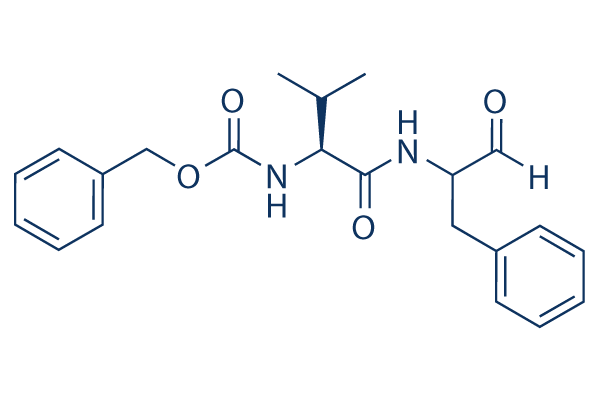 MDL-28170