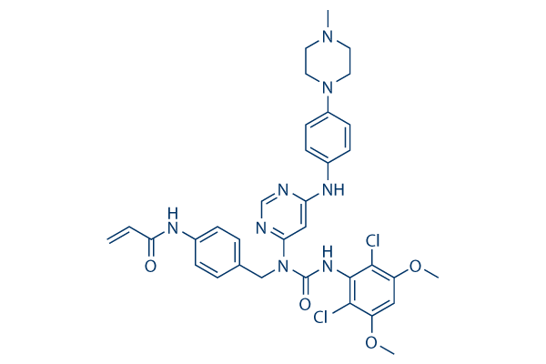 FIIN-3
