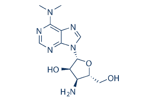 Puromycin aminonucleoside