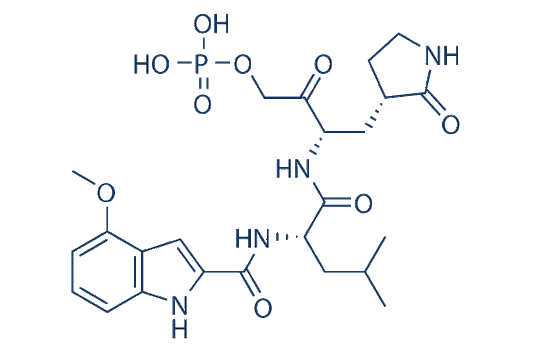 Lufotrelvir (PF-07304814)