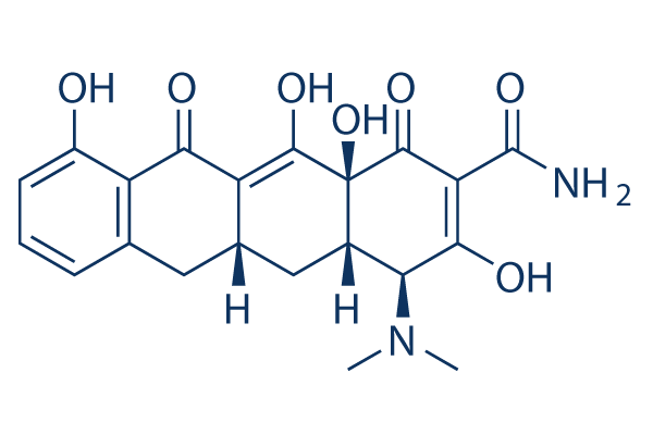 Sancycline