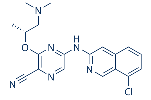 SAR-020106