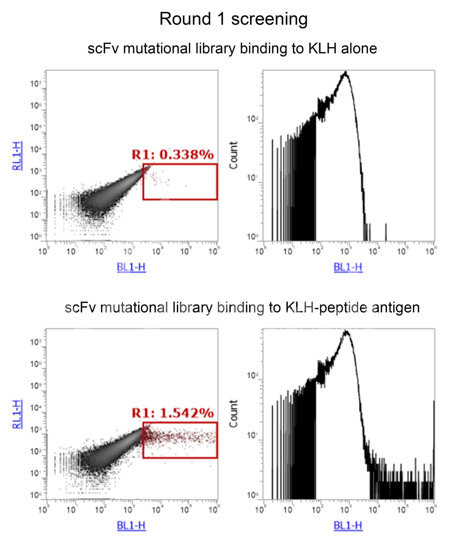 Affinity Maturation or Degeneration for Custom Antibody