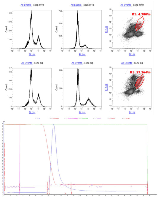 SEZ6 Monoclonal Antibody (B4 Clone) - Western Blot Validated