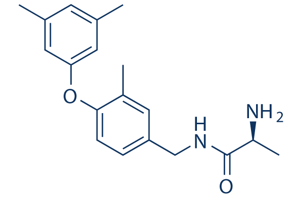 SGC2085
