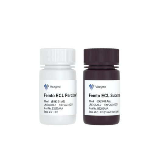 SuperFemto ECL Chemiluminescence Kit