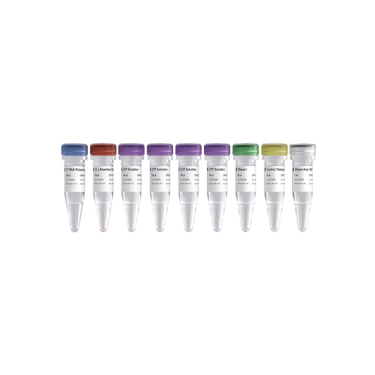 T7 High Yield RNA Transcription Kit