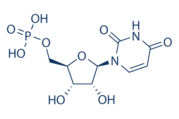 Uridine 5'-monophosphate