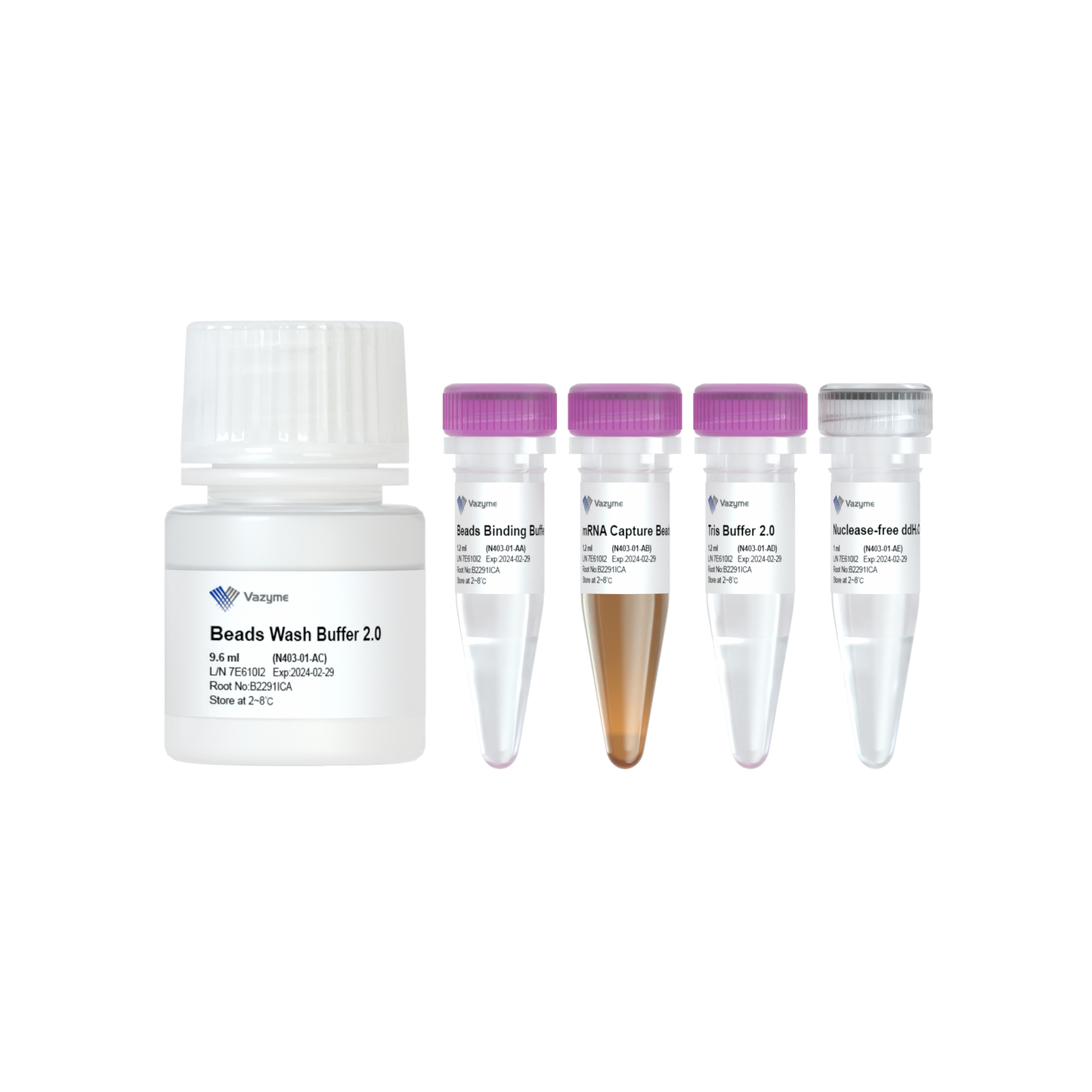 VAHTS mRNA Capture Beads 2.0