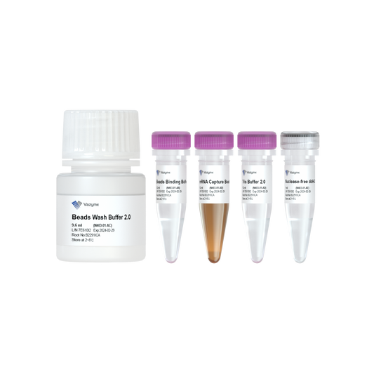 VAHTS mRNA Capture Beads 2.0