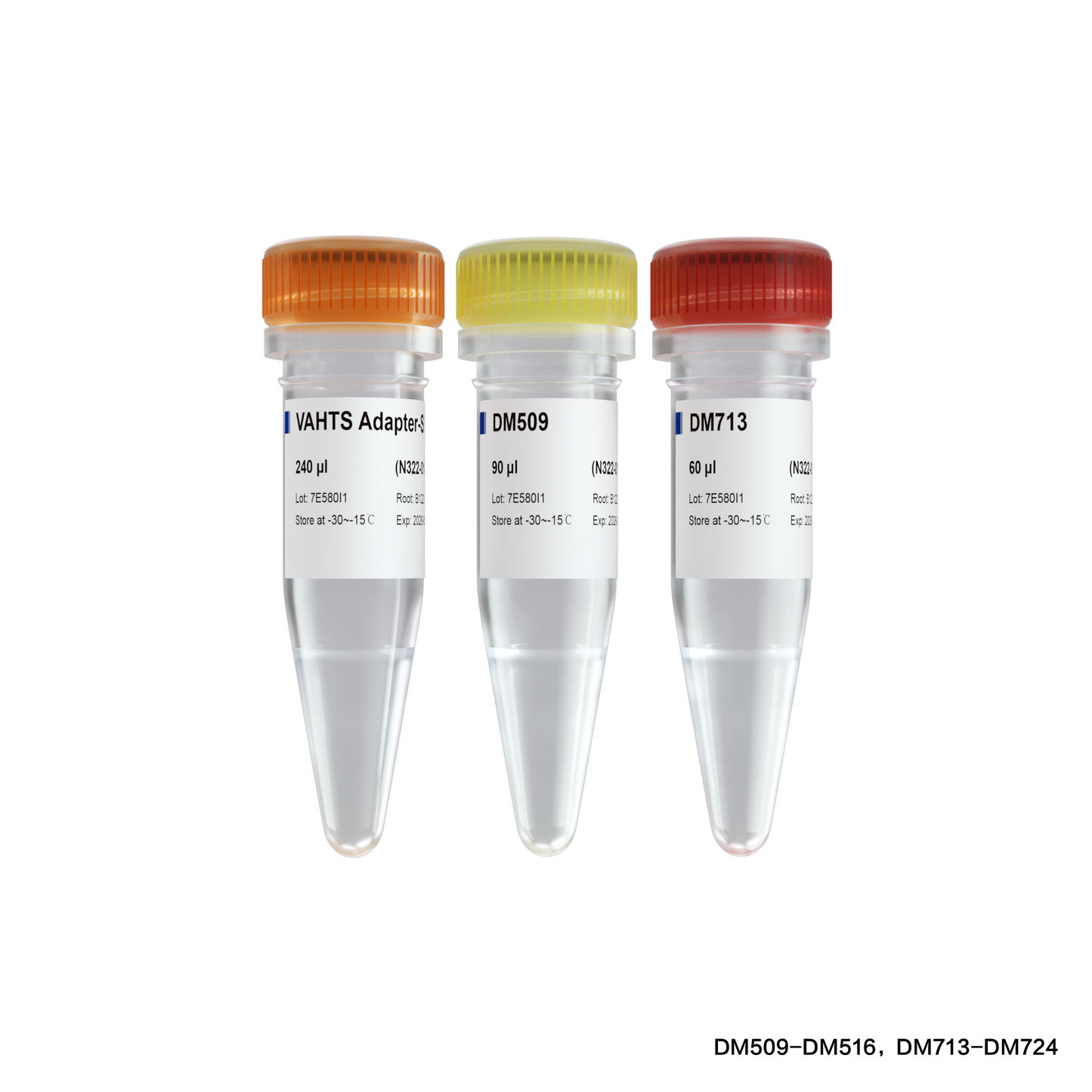 VAHTS Multiplex Oligos Set 5 for Illumina (DM509-516 / DM713-724)