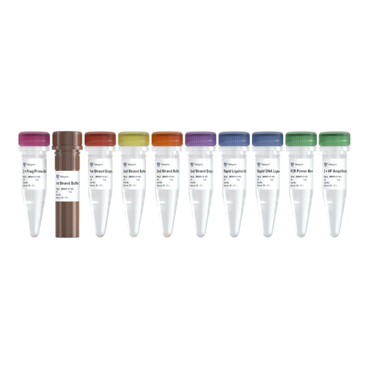 VAHTS Universal V8 RNA-seq Library Prep Kit for Illumina
