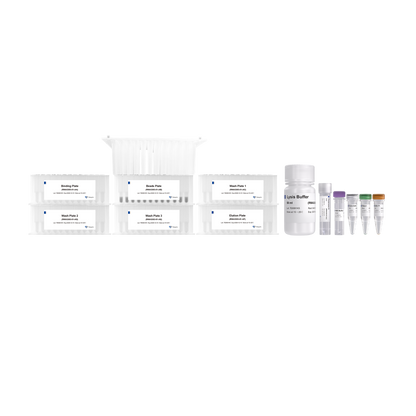 VAMNE Magnetic Cell/Tissue Total RNA Kit (Prepackaged)