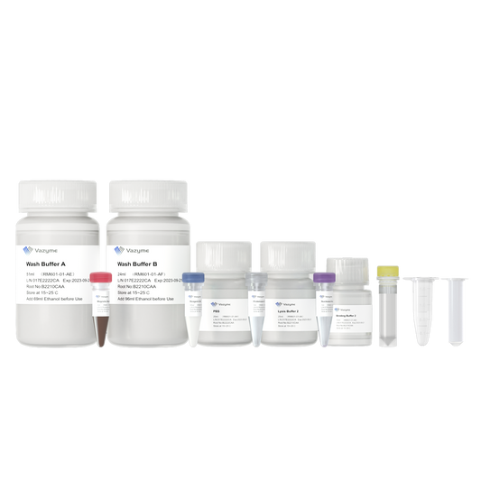 VAMNE Magnetic Pathogen DNA/RNA Kit