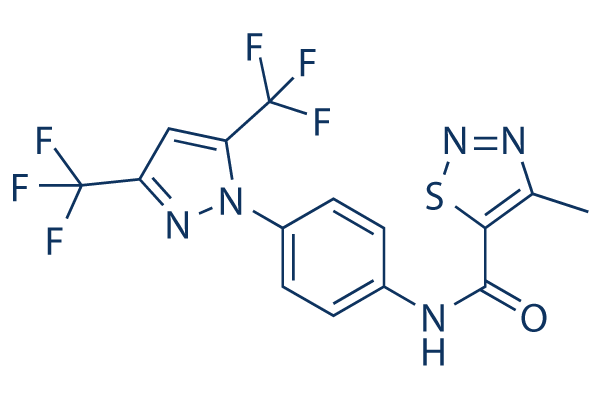 YM-58483 (BTP2)